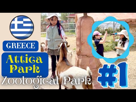 Βίντεο: Safari West Animal Park: Περισσότερα από έναν ζωολογικό κήπο