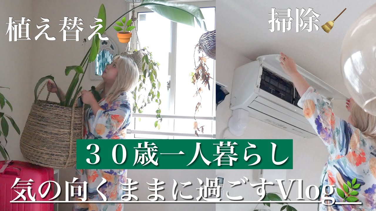３０歳一人暮らし気の向くまま過ごすVlog🌿植え替え🪴ご飯🦐掃除🧼趣味🪴📲購入品📦