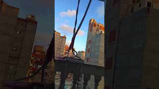 الحمام بيطير ويقع فالشارع 😱 #hawyhamam #هاوي_حمام #تربية_الحمام #النش_من_البلكونة