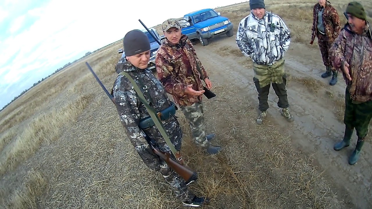 охотничьих ресурсов. охота на зайца в ставропольском крае. охота на маныче ставропольского края. заводоуковск охотник. охота в калмыкии на гуся.