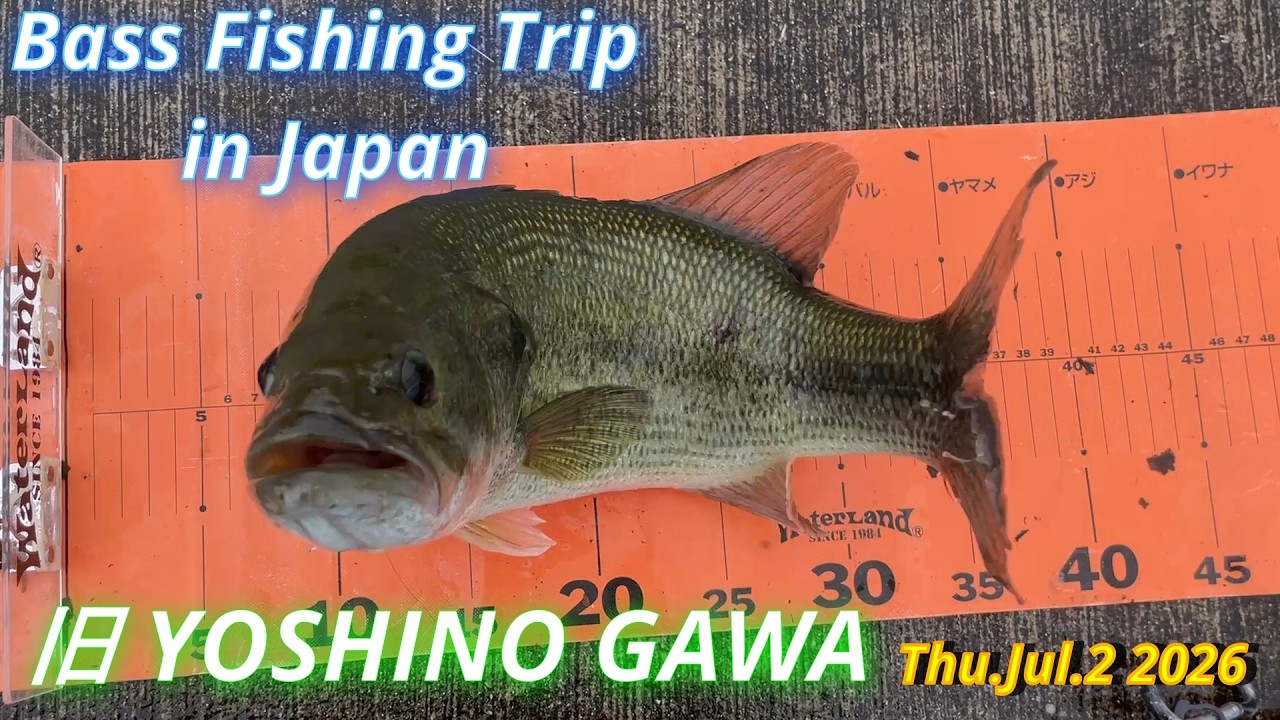 旧 YOSHINO GAWA Jul.2 2026 / Bass Fishing Trip in Japan