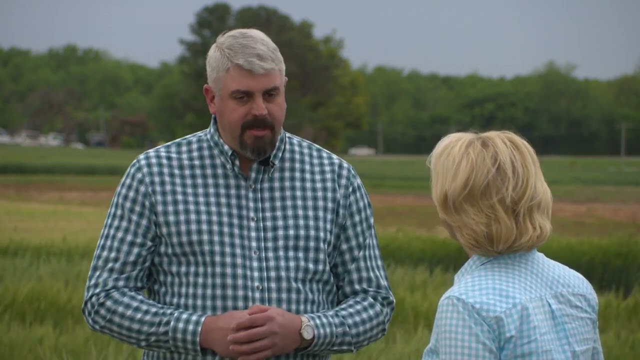 Is the Wheat Still Looking Good?