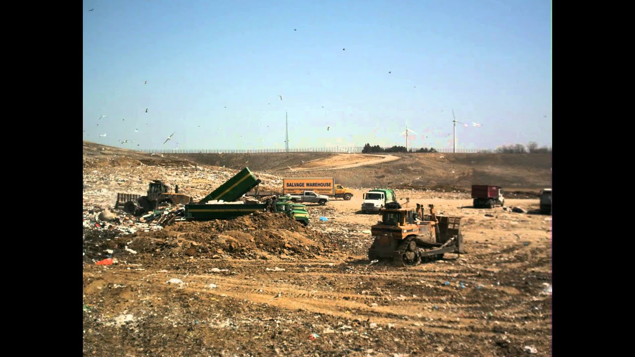 Lincoln Landfill emma brinkley buckle YouTube