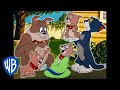 Tom y Jerry en Español Latino America | El encantador Tyke | WB Kids