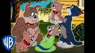 Tom y Jerry en Español Latino America | El encantador Tyke | WB Kids Tom y Jerry en Español Latino America | El encantador Tyke | WB Kids