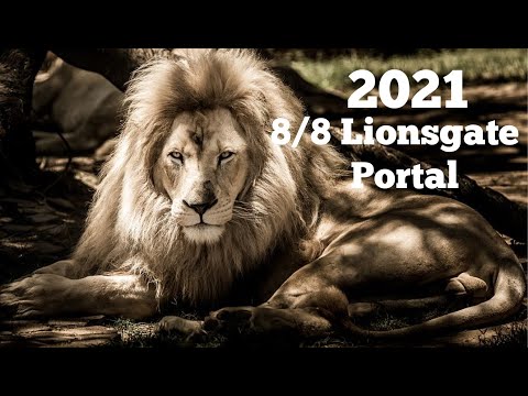 Discover about the 8/8 Lionsgate portal we experience on 8 August 2021