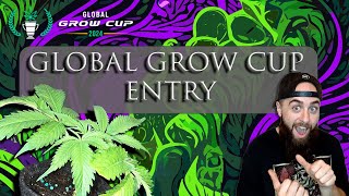 Global Grow Cup Entry