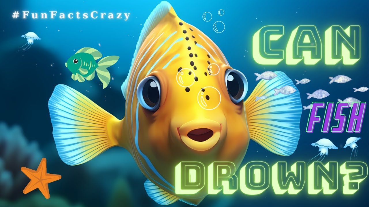 Can fish drown? - Discover Wildlife