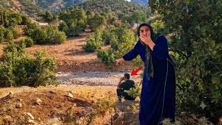 🔥 Mitra pursued Yousef; Secret conversation with second wife revealed everything!