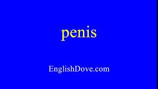 How to pronounce penis in American English.