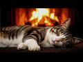Calming Cat Purring ASMR | Warm Fireplace Sounds for Deep Sleep