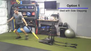 Sled Single-Arm Pull with Side Stepping (and non sled option)