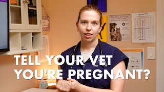 Pregnant? Why You Might Tell Your Vet