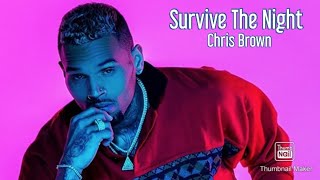 Chris Brown - Survive The Night (Official lyrics video)