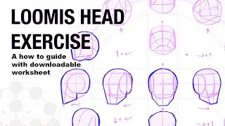 Unlock Drawing Mastery: The Loomis Method for Heads   Free Worksheet