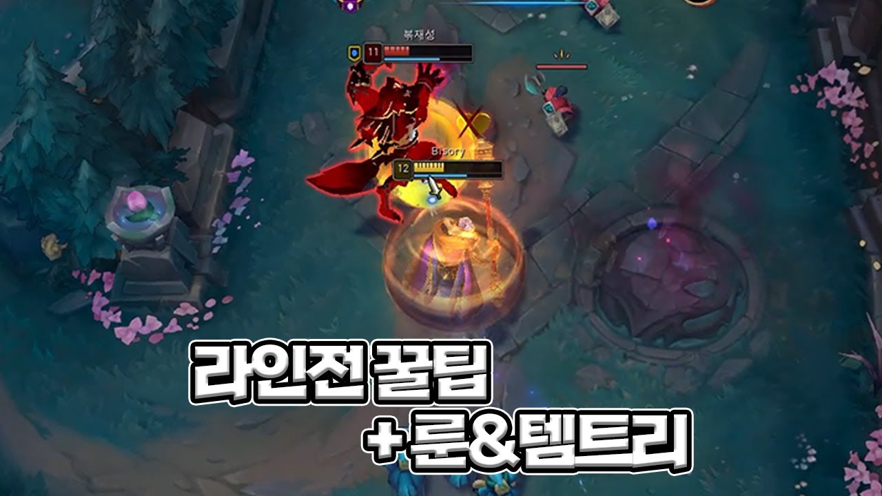 잭스 vs 워윅 상대법