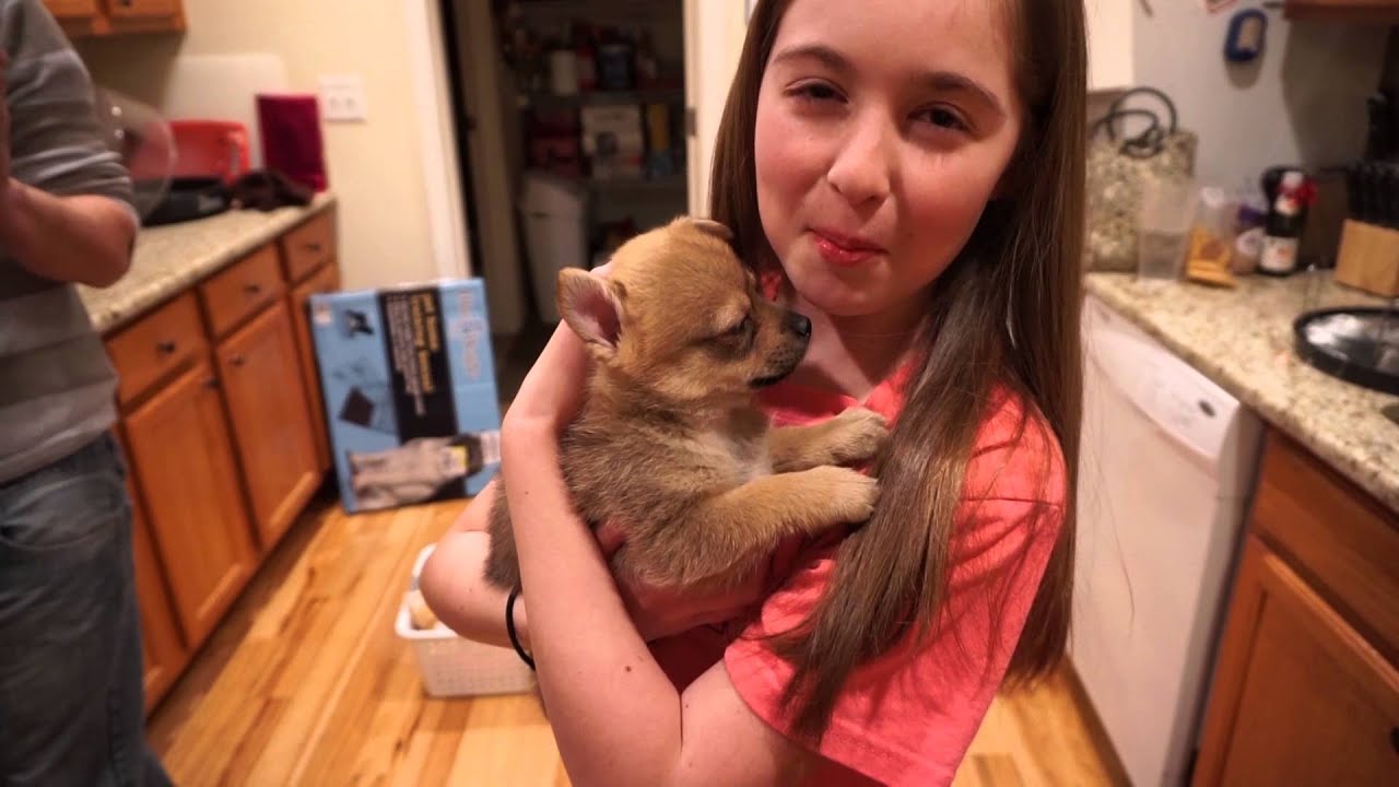 SURPRISE NEW PUPPY!!!