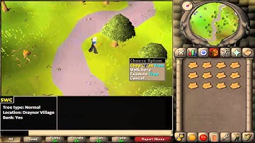 Old School Runescape BOT RSBot2007)   DOWNLOAD OSRSBOTTING.US