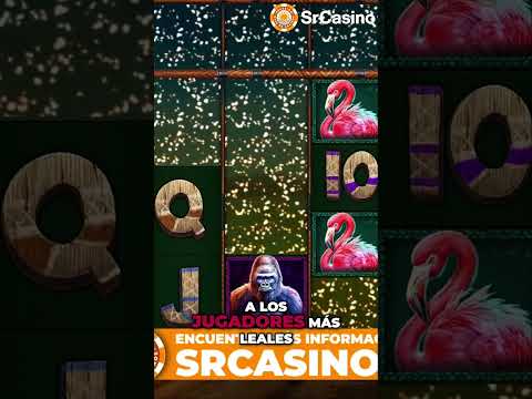 ¡Descubre la experiencia Winpot! | Uno de los casinos más importantes de México
