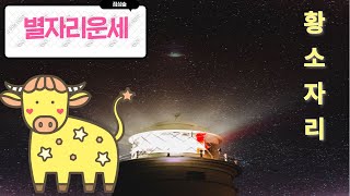 별자리운세 황소자리/12성좌운/점성술/총운