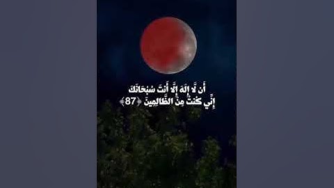 وَذَا النُّونِ   سورة الأنبياء القارئ علي جابر