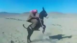 Eşekleri Şaha Kaldıran Amcalar
