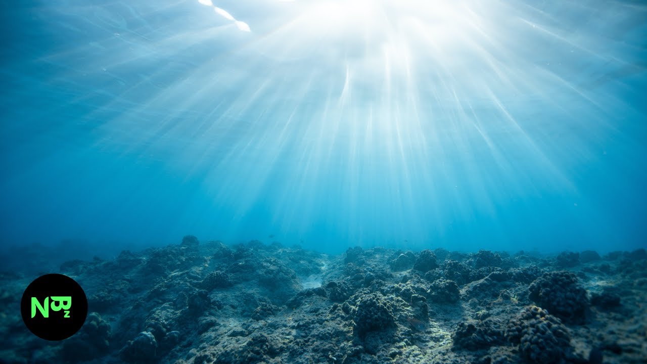 Relaxing Music for Creativity - Sea Life