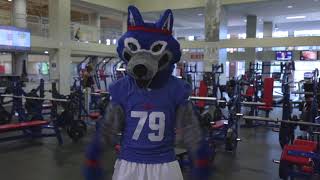 Wolfie gets pumped for A Day