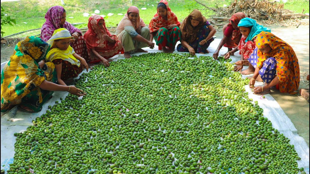 Mouth Watering Olive Pickle - 85 KG Fresh Olive Spice Pickle Making By Women - Yummy Jolpai Achar