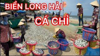 BIỂN LONG HẢI BÀ CON TRÚNG MÁNH MÉ CÁ CHỈ