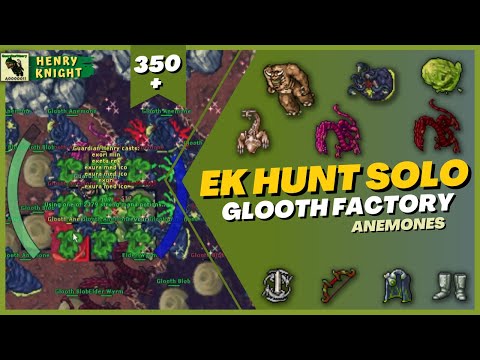 TIBIA: EK HUNT SOLO GLOOTH FACTORY LEFT SIDE (ANEMONES INVASION)