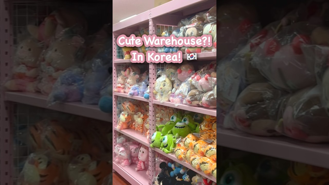 Cutest Character Warehouse in Korea?! 🏬💖