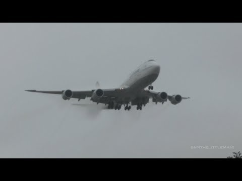 Lufthansa Boeing 747-8I Foggy Landing LAX - [D-ABYC] - YouTube