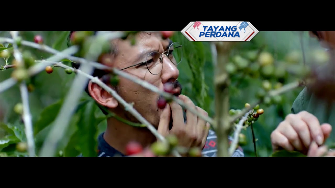 RCTI Promo Box Office Indonesa FILOSOFI KOPI 2 MINGGU 17 Mei 2018