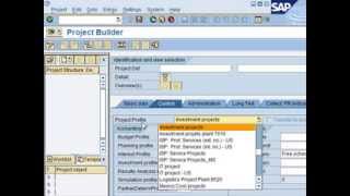 SAP PS Overview Tutorial SAP PS Overview Tutorial