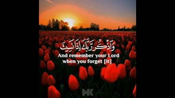 ولا تقولن لشيء إني فاعل ذلك غدا || بصوت القارئ محمد هشام || #قرآن_كريم #القران #ذكر #holy_quran512