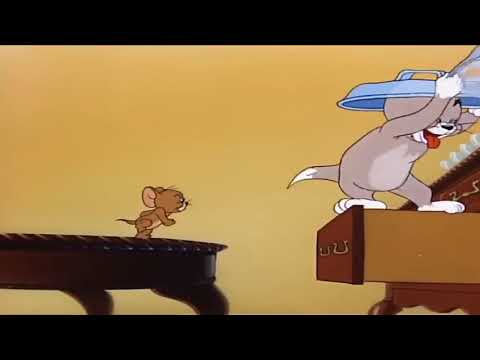 tom-and-jerry-funny-video-of-hindi