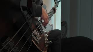 ずっと真夜中でいいのに。《勘冴えて悔しいわ》bass cover #bass #ベース #jpop #弾いてみた #slap #ずとまよ ふじもトゥヌス