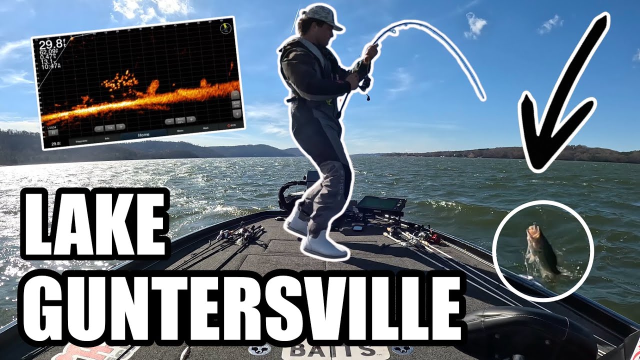 Fall Fishing Lake Guntersville (Livescope Footage) [4K]