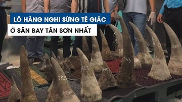 Cận cảnh lô hàng khủng nghi sừng tê giác tại sân bay Tân Sơn Nhất
