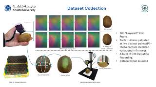 AI-Powered Wearable Device for Fruit Firmness Estimation through Digitalized Palpation screenshot 5