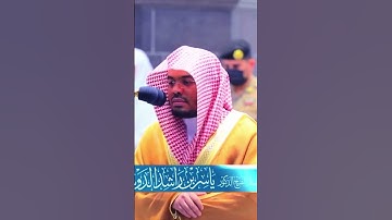 تكملة سورة البقرة الايات من 50 لي ايه 53 الشيخ ياسر الدوسري #القرآن_الكريم #لايك