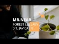 Capture de la vidéo Mr.neab - Forest Lullaby (Ft. Jav Cast)