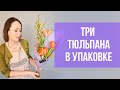 Три тюльпана в упаковке // бюджетный букет