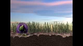 Client Brief - Fuzzy Frog Idents