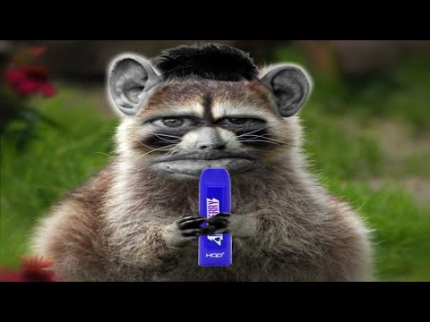 Какие наушники у Валакаса? @GLADIATORPWNZ