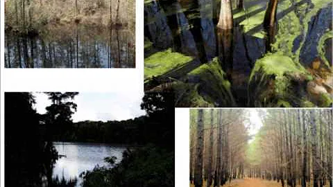 What characteristics make the Outer Coastal Plain ...