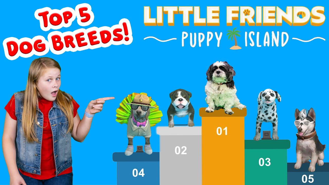 Little Friends Puppy Island Top 5 Dog Pets for the Nintendo Switch