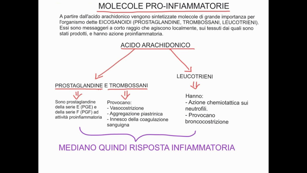 CORSO DI BIOCHIMICA - LEZIONE 37 DI 47 - BIOSINTESI ACIDI GRASSI -  PROSTAGLANDINE, ETC - PARTE 5 - YouTube