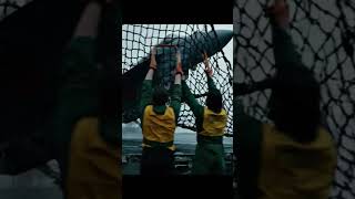 Jet Struggles With High Winds During Landing, Almost Goes Overboard October 9, 2025